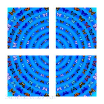 BUTTERFLY CIRCLES