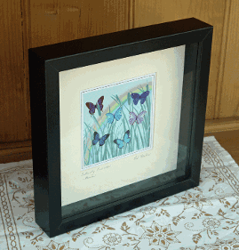 Butterfly Bulrushes - Rainbow framed