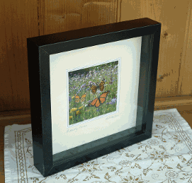 Butterfly Flowers framed