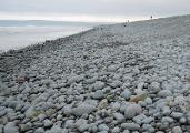 Photo of pebble beach in Westward Ho!
