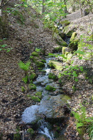 Photo of stream near Greetland, Yorkshire
